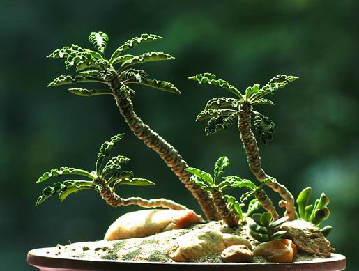 /UploadFiles/image/2016-11-02/58194059b144d.png QQ圖片20161102092041.png