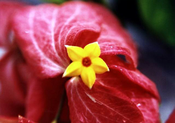 /UploadFiles/image/2016-11-28/583b8ce7666c5.jpg 未標(biāo)題-1.jpg