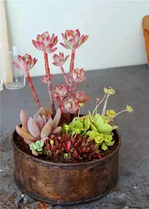 /UploadFiles/image/2017-01-06/586f05d664131.jpg 84531483064919.jpg