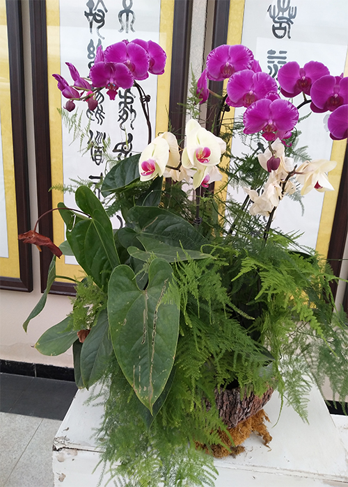 /UploadFiles/image/2017-02-09/589bce750139d.jpg 未標(biāo)題-7.jpg