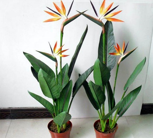 /UploadFiles/image/2017-02-18/58a7b57289ee1.jpg 未標題-2.jpg