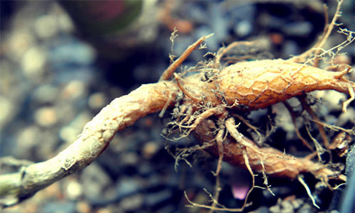 /UploadFiles/image/2017-02-19/58a8fa8b3c90b.jpg 1.jpg