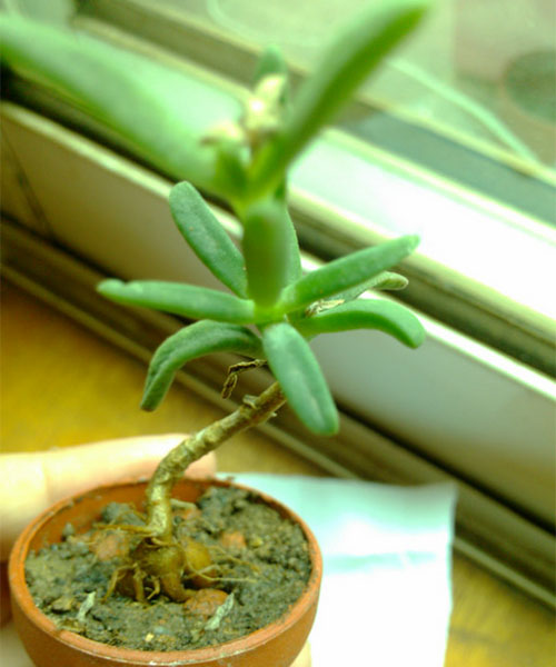 /UploadFiles/image/2017-02-19/58a8fab0a8648.jpg 3.jpg