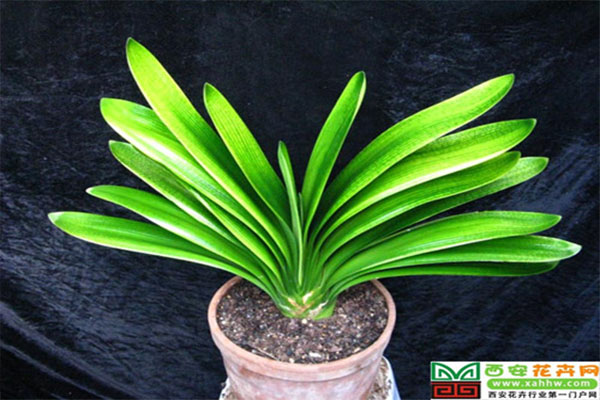 /UploadFiles/image/2017-02-23/58ae36edec5e6.jpg 未標(biāo)題-1.jpg