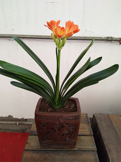 /UploadFiles/image/2017-02-28/58b4d0415c51d.jpg 未標(biāo)題-2.jpg