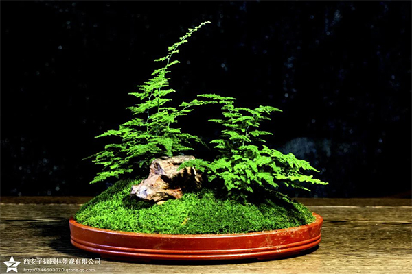 /UploadFiles/image/2017-03-02/58b77380da6ad.jpg 未標(biāo)題-2.jpg