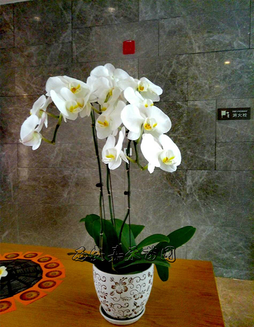 /UploadFiles/image/2017-03-08/58bf5b686ddff.jpg 23981488419294.jpg