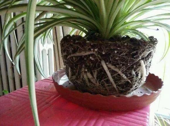 /UploadFiles/image/2017-03-13/58c5fa3b88729.jpg 50081488422723.jpg