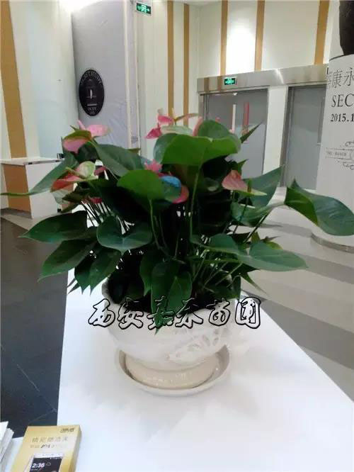 /UploadFiles/image/2017-04-08/58e844ed37fcd.jpg b0844be.jpg