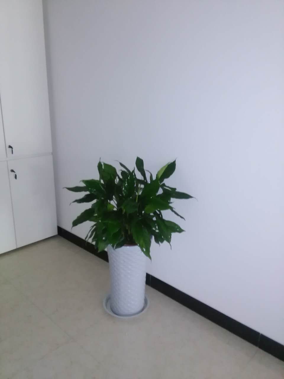 /UploadFiles/image/2017-04-08/58e887f52c4b7.jpg /UploadFiles/image/2017-04-08/58e887f52c4b7.jpg