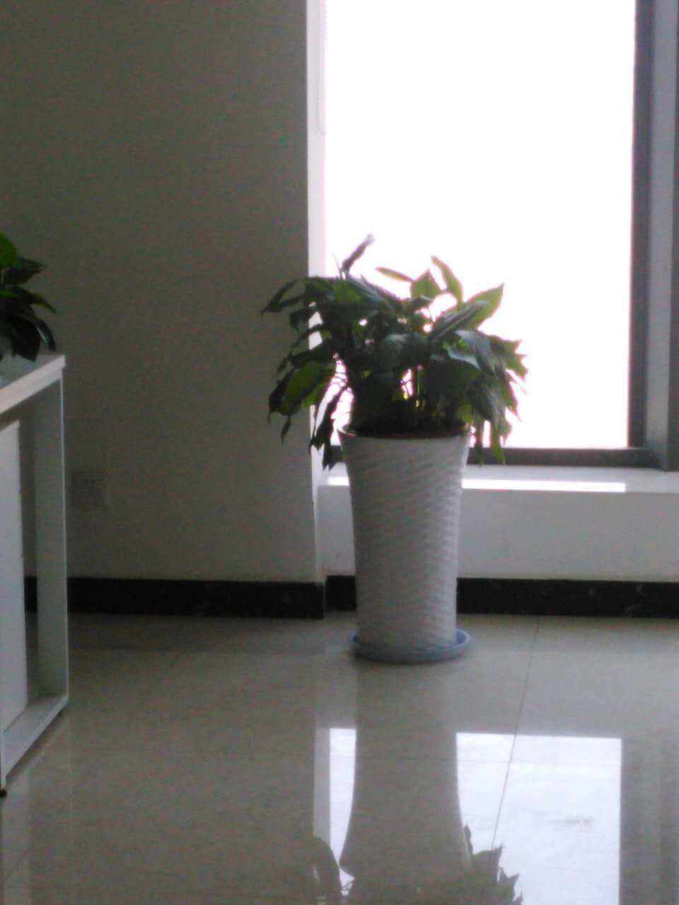 /UploadFiles/image/2017-04-08/58e8882f00160.jpg /UploadFiles/image/2017-04-08/58e8882f00160.jpg