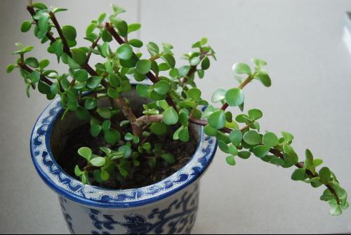 /UploadFiles/image/2017-04-13/58eee165def13.jpg 20100403161702-995756803.jpg