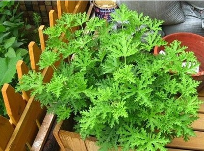 /UploadFiles/image/2017-04-25/58feb5975a17c.jpg t013925888aa6ab8bb0.jpg