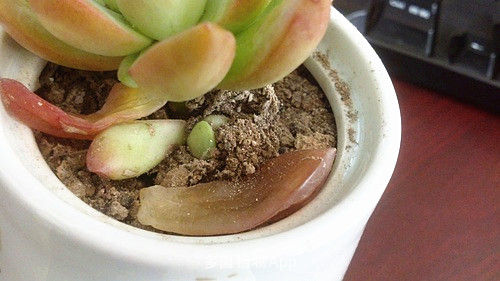 /UploadFiles/image/2017-05-03/59098e84a8e73.jpg 1475807070-user1138912-1969-500-281.jpg