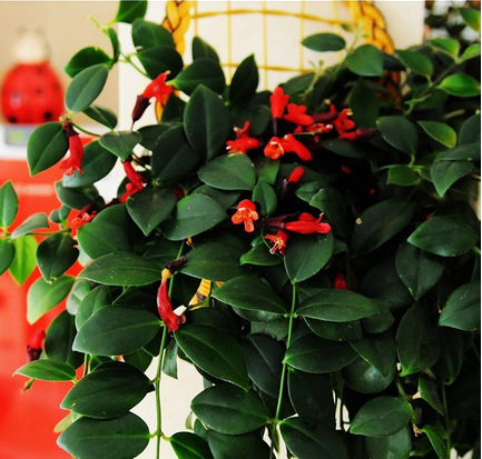 /UploadFiles/image/2017-05-12/591515b890a54.jpg QQ圖片20170512093757.jpg