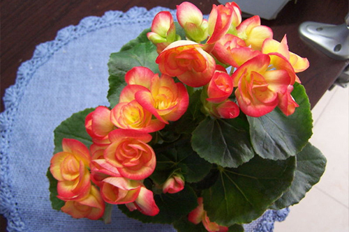 /UploadFiles/image/2017-05-15/591901c71da47.jpg 20170506093933334 (1).jpg