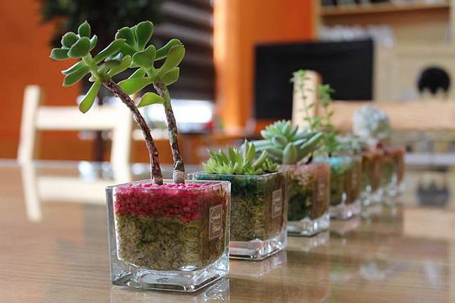 /UploadFiles/image/2017-05-22/5922576128964.jpg 212c0004f449cd8f5d8d.jpg