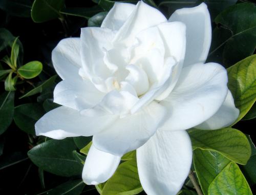 /UploadFiles/image/2017-06-01/592f764466c27.jpg 20130710150709-101617683.jpg