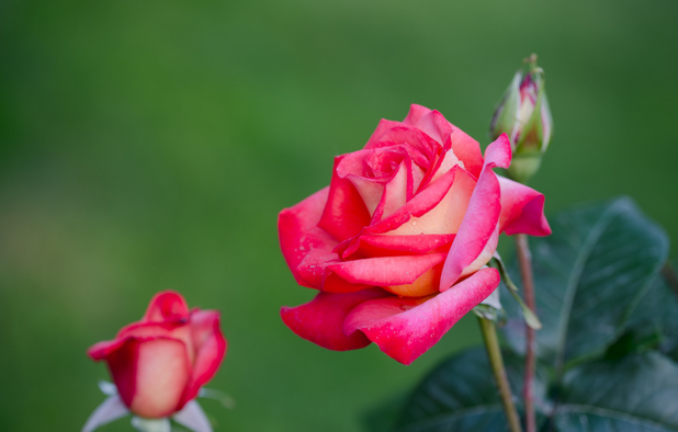 /UploadFiles/image/2017-06-01/592fcfa160586.png QQ圖片20170601162202.png