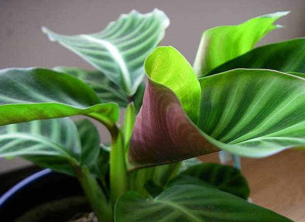 /UploadFiles/image/2017-06-07/5937a2984388b.jpg 8ca1511e80674d5ba9aee166dcb0b4ec_th.jpg