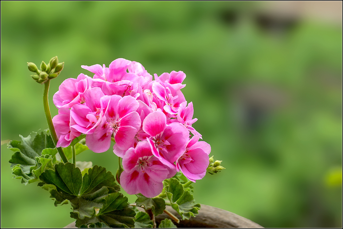 /UploadFiles/image/2017-06-16/594346f499658.jpg /UploadFiles/image/2017-06-16/594346f499658.jpg