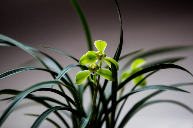 /UploadFiles/image/2017-06-28/595305416803d.jpg QQ圖片20170628085136.jpg