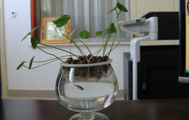 /UploadFiles/image/2017-07-03/5959e66ee7b8d.png UpYPSR8DcbaMDeaSG2fMcH6bDaIKgZe2NHsewc3mZ0N7u1496662227168compressflag.png