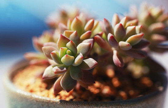 /UploadFiles/image/2017-07-17/596c1a9092599.jpg 27e4c77c0eb440ff81f6fd6788a769cc_th.jpg