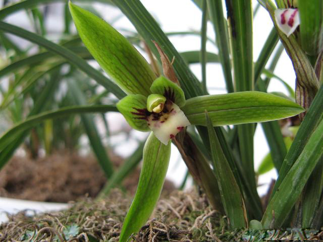 /UploadFiles/image/2017-07-20/5970556aa5092.jpg 2ed200051c92d081dfc0.jpg