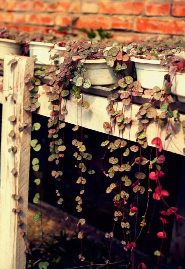 /UploadFiles/image/2017-07-24/59756e17c3ab1.jpg 640.webp.jpg