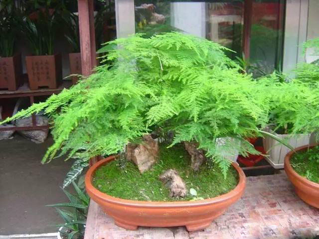 /UploadFiles/image/2017-08-03/59828bd4e4059.jpg 20170726085747969.jpg