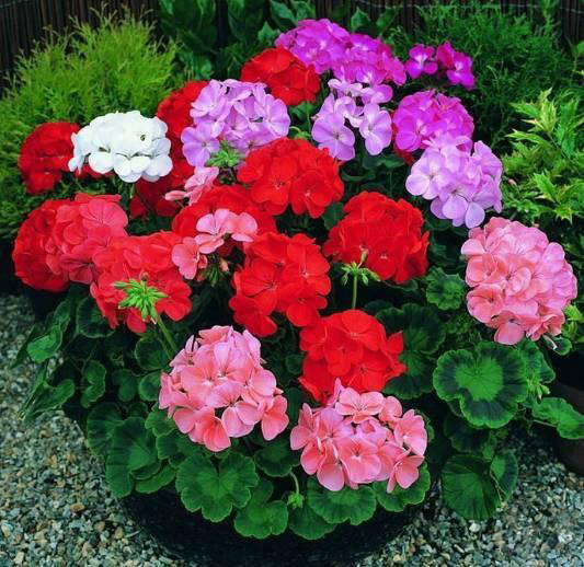 /UploadFiles/image/2017-08-05/598534778a868.jpg 4bf7e087e15e4dfb9afea542febdc856.jpg