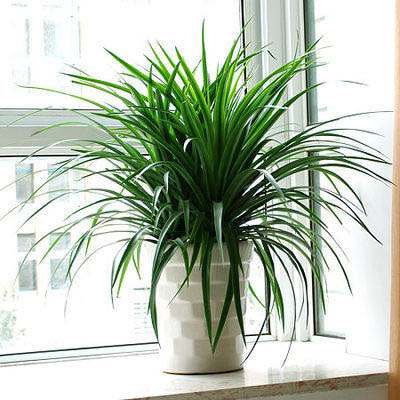 /UploadFiles/image/2017-08-17/5994f53fe4c72.jpg 20170814083543114.jpg