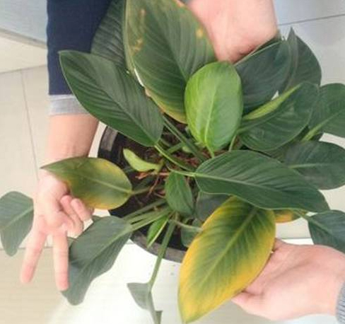 /UploadFiles/image/2017-08-23/599cfb7607598.jpg /UploadFiles/image/2017-08-23/599cfb7607598.jpg