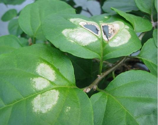 /UploadFiles/image/2017-08-23/599cfb7623978.jpg /UploadFiles/image/2017-08-23/599cfb7623978.jpg