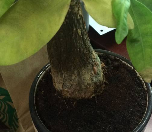 /UploadFiles/image/2017-08-23/599cfb7661fe8.jpg /UploadFiles/image/2017-08-23/599cfb7661fe8.jpg