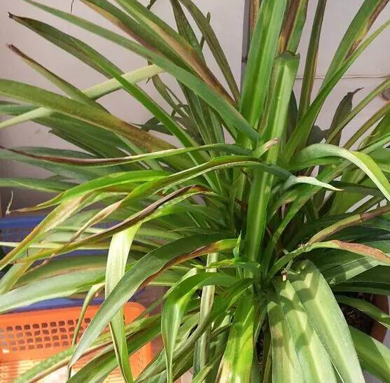 /UploadFiles/image/2017-08-23/599cfb76a7872.jpg /UploadFiles/image/2017-08-23/599cfb76a7872.jpg