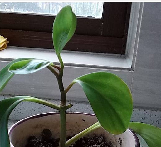 /UploadFiles/image/2017-08-23/599cfb77447e9.jpg /UploadFiles/image/2017-08-23/599cfb77447e9.jpg