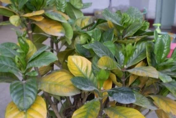 /UploadFiles/image/2017-08-23/599cfb78a0391.jpg /UploadFiles/image/2017-08-23/599cfb78a0391.jpg