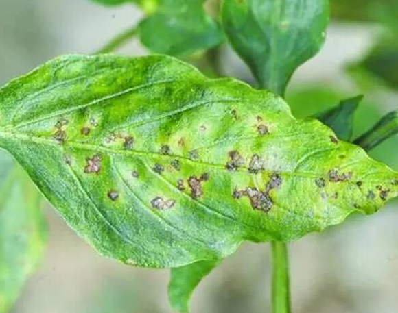 /UploadFiles/image/2017-08-23/599cfb796496f.jpg /UploadFiles/image/2017-08-23/599cfb796496f.jpg