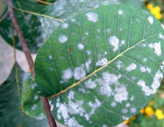 /UploadFiles/image/2017-08-23/599cfb79df7ed.jpg /UploadFiles/image/2017-08-23/599cfb79df7ed.jpg