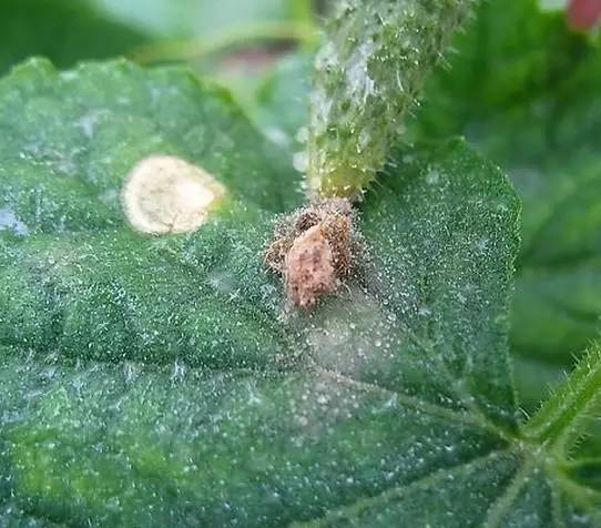 /UploadFiles/image/2017-08-23/599cfb7a19059.jpg /UploadFiles/image/2017-08-23/599cfb7a19059.jpg