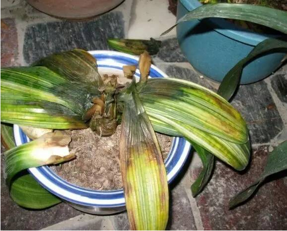 /UploadFiles/image/2017-08-23/599cfb7ad47c0.jpg /UploadFiles/image/2017-08-23/599cfb7ad47c0.jpg