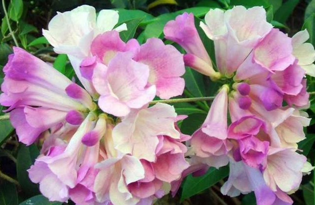 /UploadFiles/image/2017-12-08/5a29f37a92498.png /UploadFiles/image/2017-12-08/5a29f37a92498.png