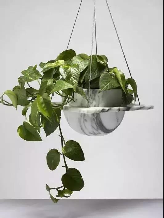 /UploadFiles/image/2018-05-31/5b0fb42eadd80.jpg 微信圖片_20180531163411.jpg