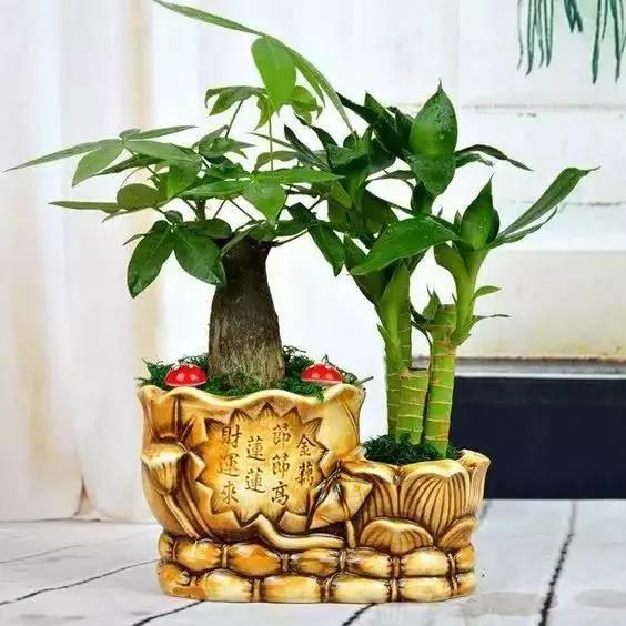 /UploadFiles/image/2018-05-31/5b0fb475ad94e.jpg 微信圖片_20180531163511.jpg