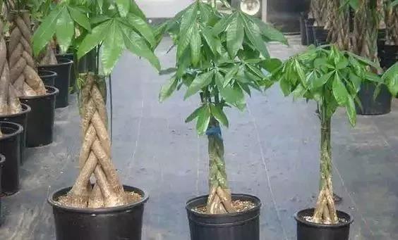 /UploadFiles/image/2018-05-31/5b0fb480ce4f2.jpg 微信圖片_20180531163517.jpg