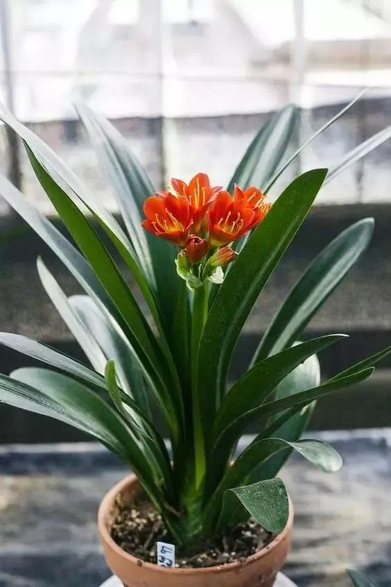 /UploadFiles/image/2018-05-31/5b0fb5a9642e0.jpg 微信圖片_20180531163603.jpg