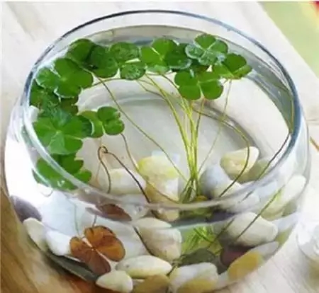 /UploadFiles/image/2018-06-09/5b1b9acccc05b.jpg 640 (1).webp.jpg