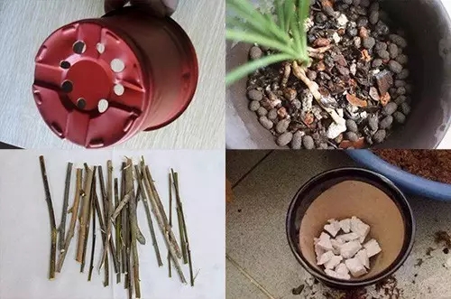 640 (1).webp (12).jpg